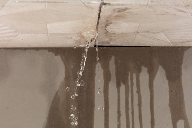 Professional Water Damage Repair technician working in Wellsville, KS